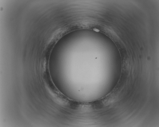 X0000062890694200601201846