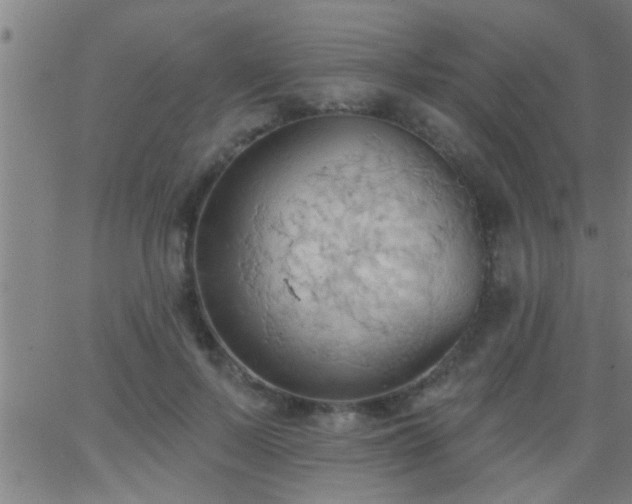 X0000062890695200601201846