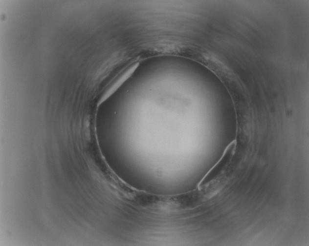 X0000062890696200601201846