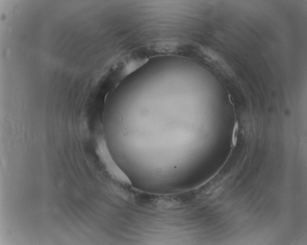 X0000062890697200601201846