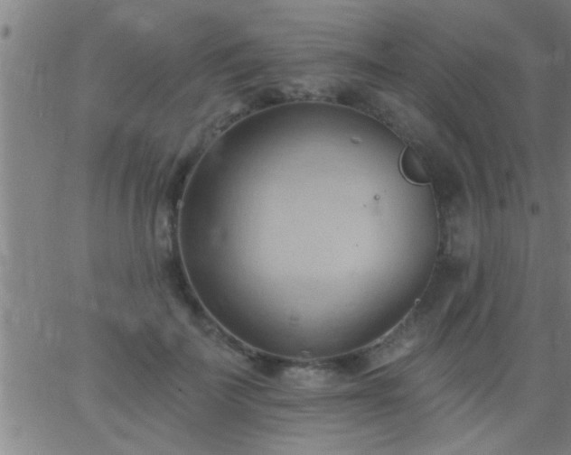 X0000062890699200601201846