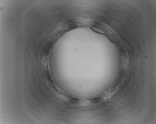 X0000062890701200601201846