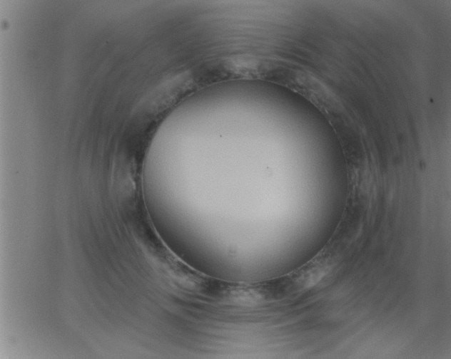 X0000062890702200601201846