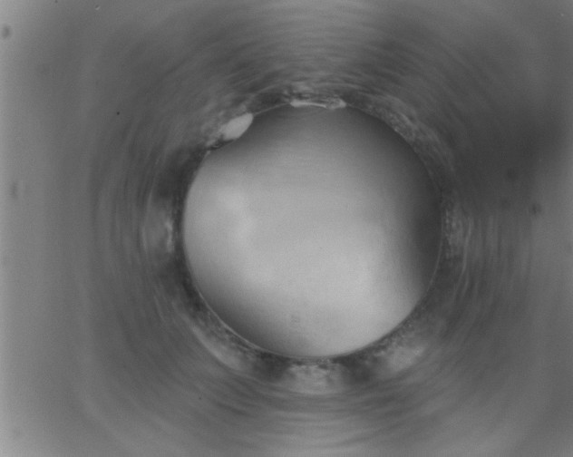 X0000062890703200601201846