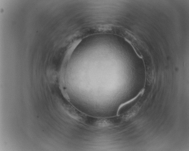 X0000062890704200601201846