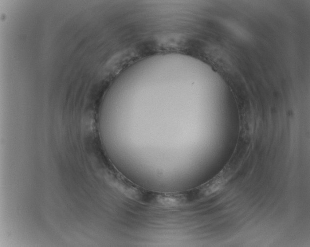 X0000062890706200601201846