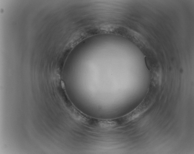 X0000062890707200601201846