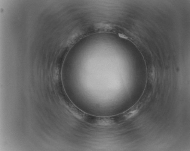 X0000062890708200601201846