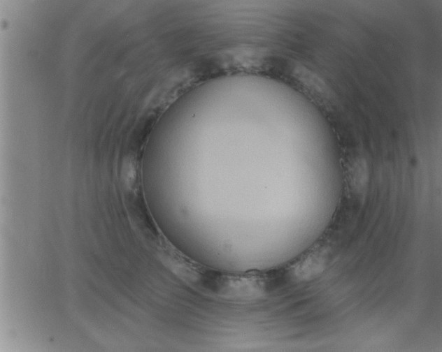 X0000062890709200601201846