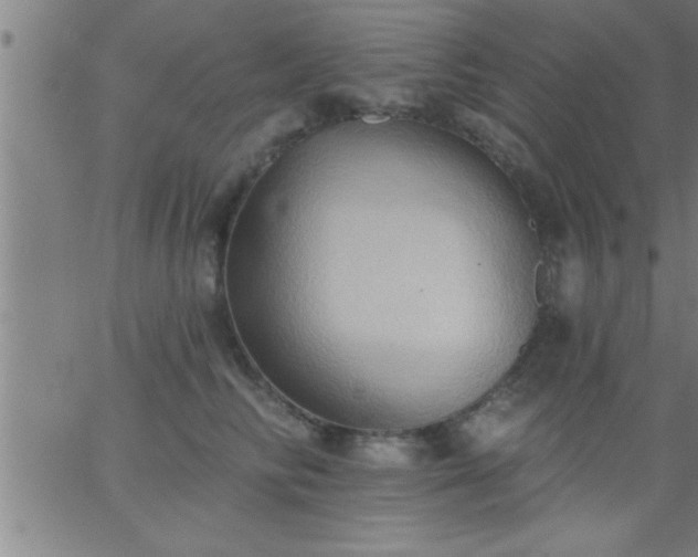 X0000062890710200601201846