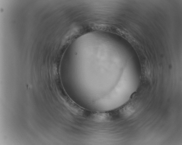 X0000062890711200601201846