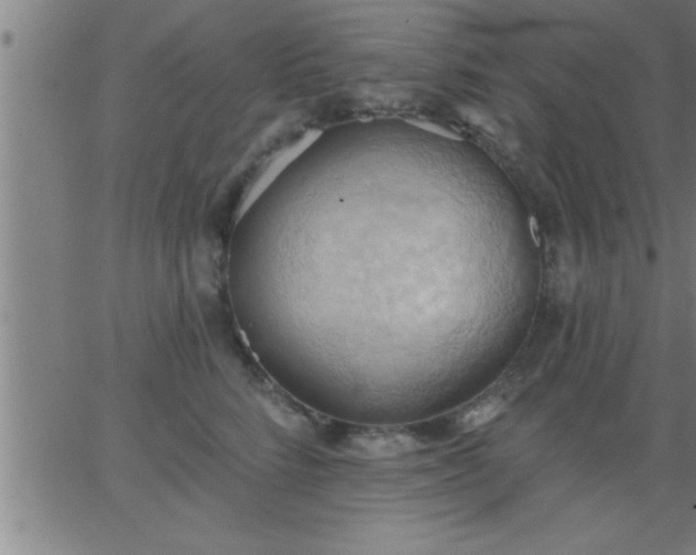 X0000062890712200601201846