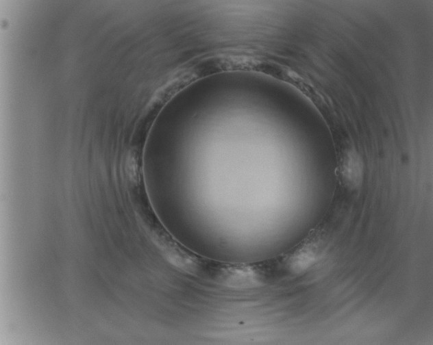 X0000062890715200601201846