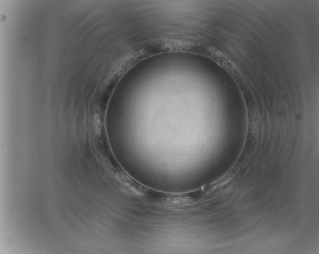 X0000062890716200601201846