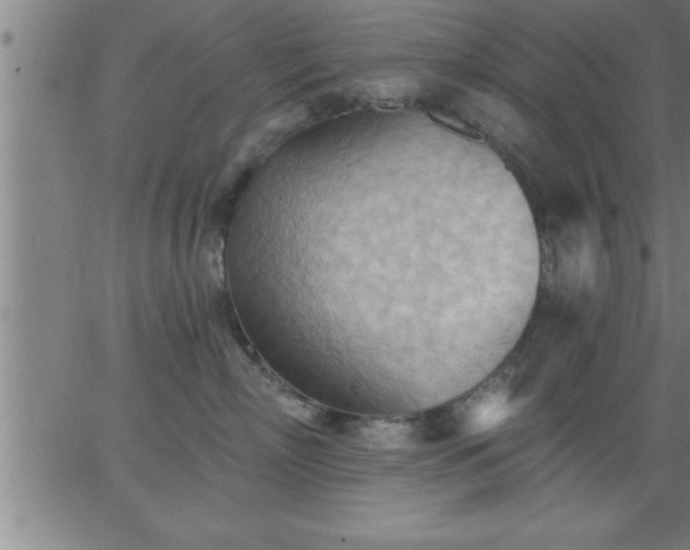 X0000062890718200601201846