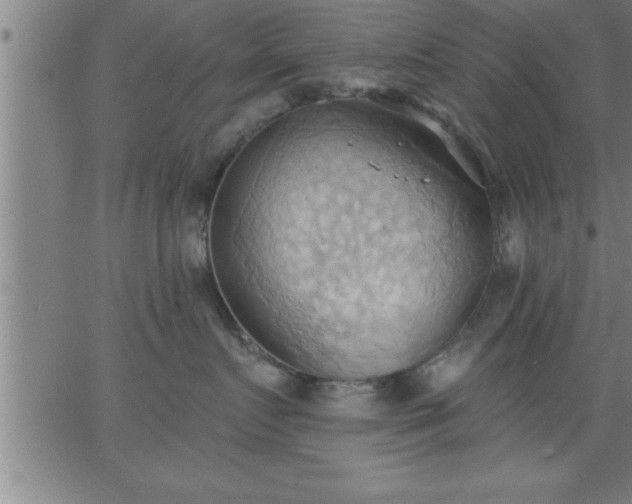 X0000062890719200601201845