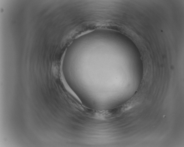 X0000062890720200601201845