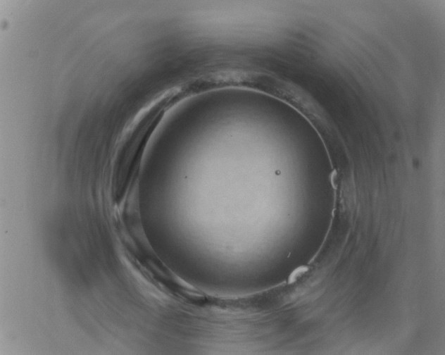 X0000062890722200601201845