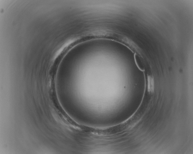 X0000062890723200601201845