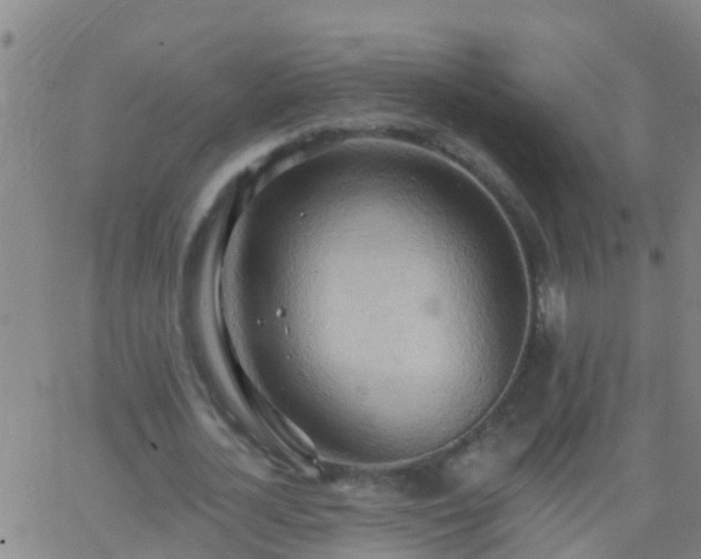 X0000062890724200601201845