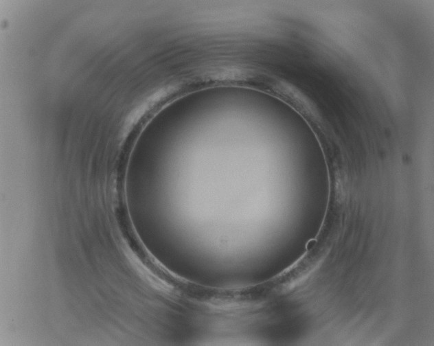 X0000062890725200601201845