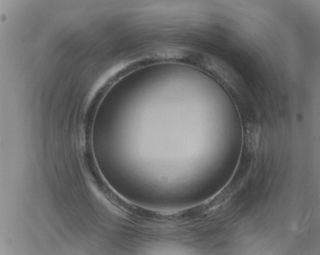 X0000062890726200601201845