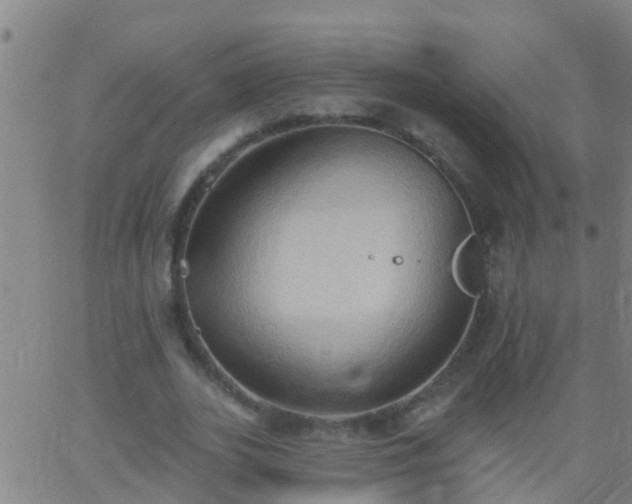 X0000062890727200601201845