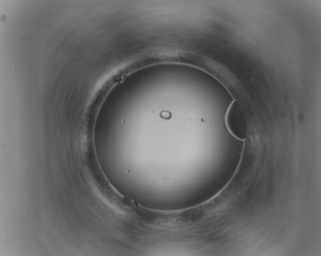 X0000062890728200601201845