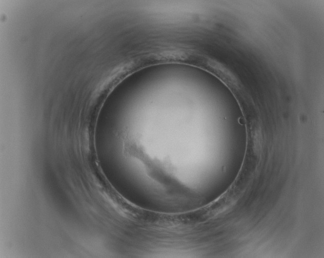 X0000062890729200601201845