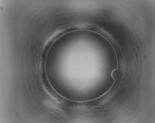 X0000062890730200601201845