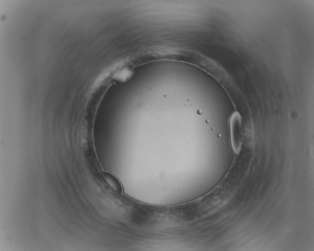 X0000062890732200601201845