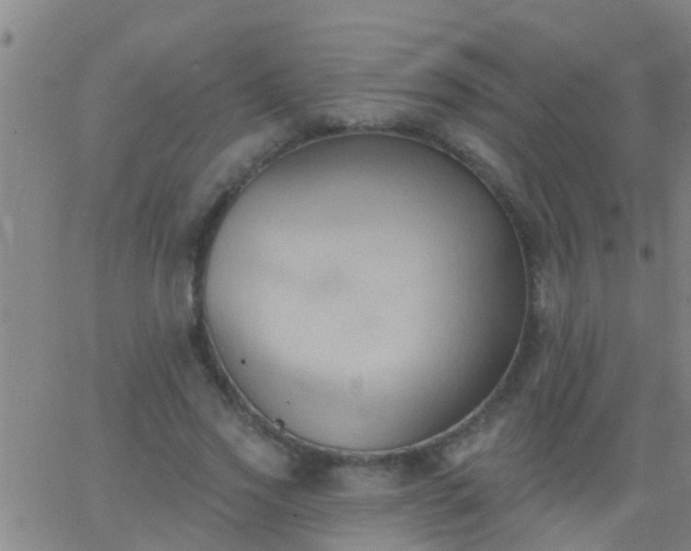 X0000062890733200601201845