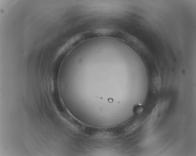 X0000062890734200601201845