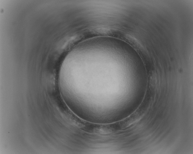 X0000062890739200601201845