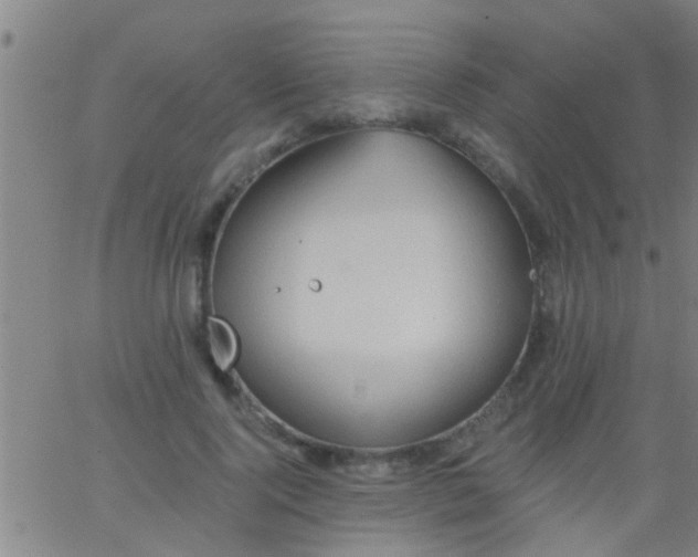 X0000062890740200601201845