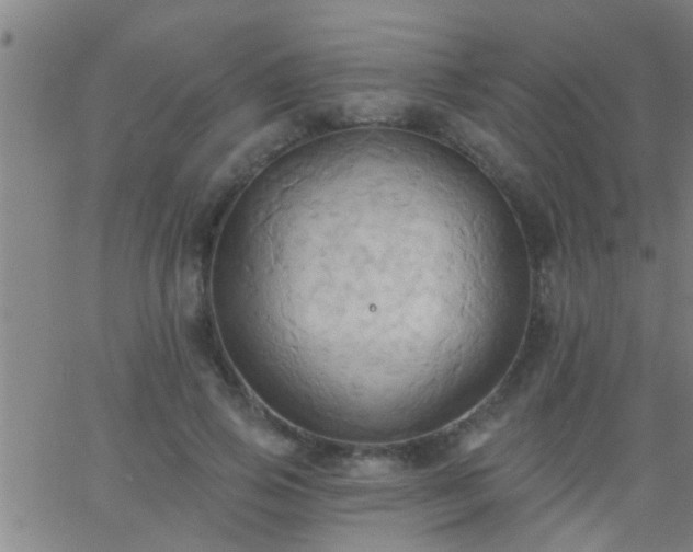 X0000062890741200601201845