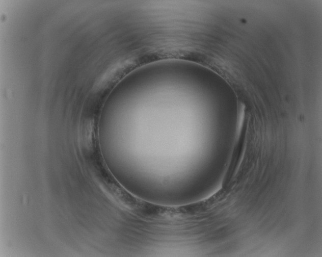 X0000062890742200601201845