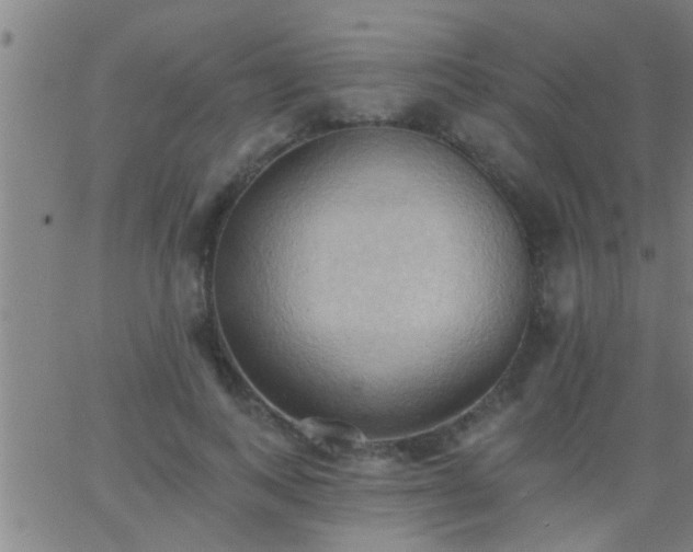 X0000062890743200601201845