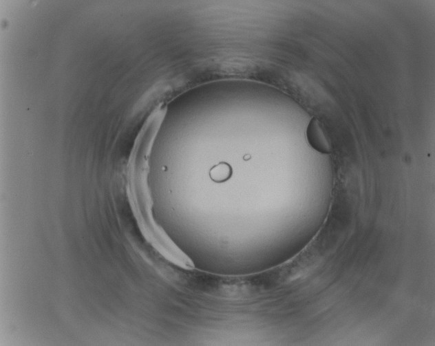 X0000062890744200601201845