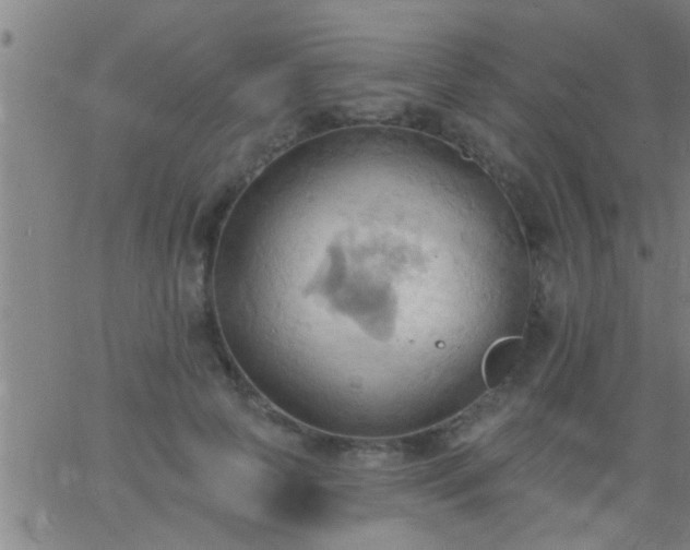 X0000062890745200601201845