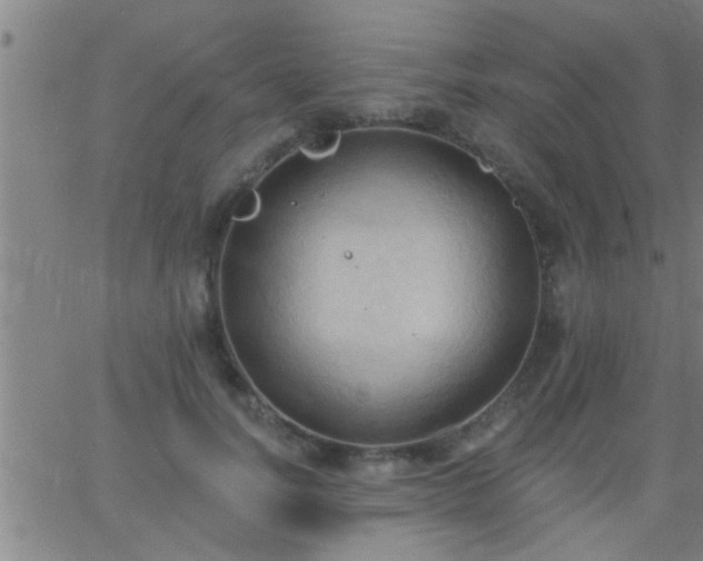 X0000062890746200601201845