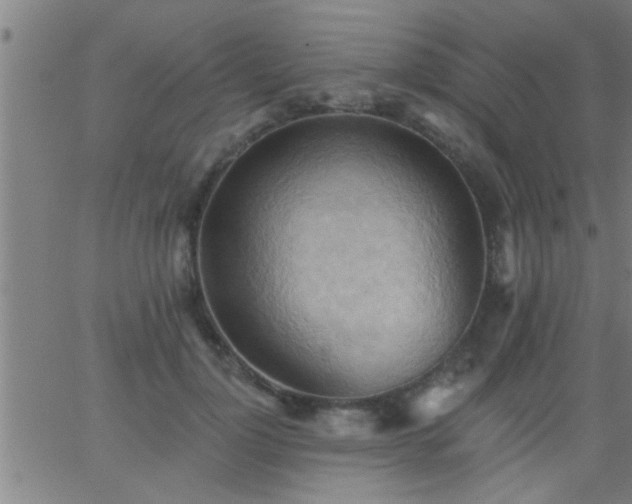 X0000062890748200601201845