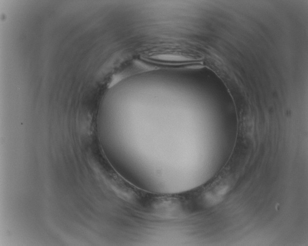 X0000062890750200601201845