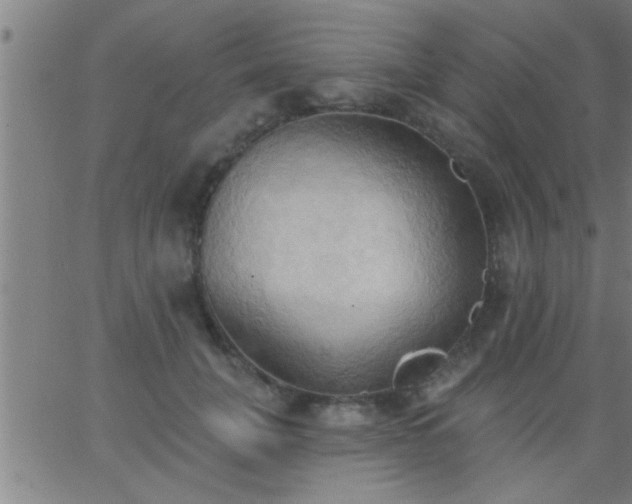 X0000062890751200601201845