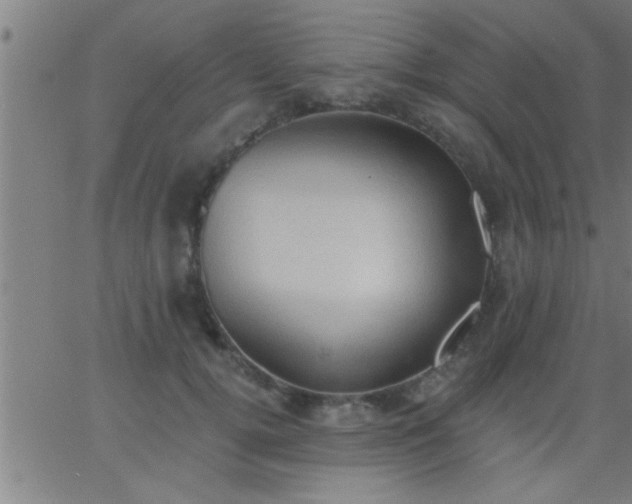 X0000062890752200601201845