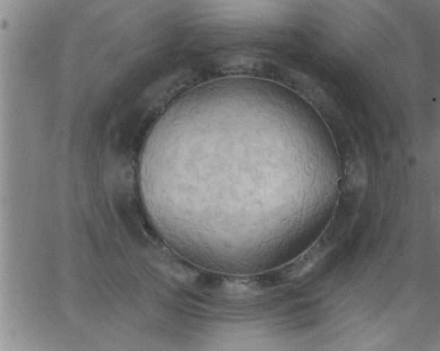 X0000062890753200601201845