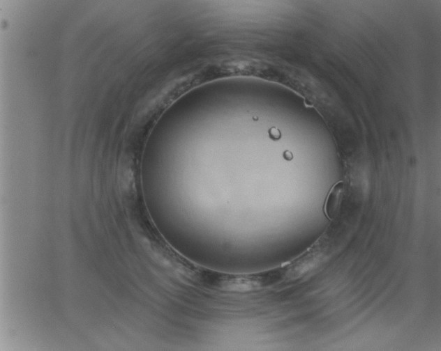 X0000062890754200601201845