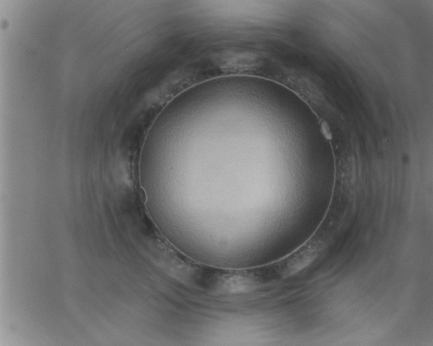 X0000062890755200601201845