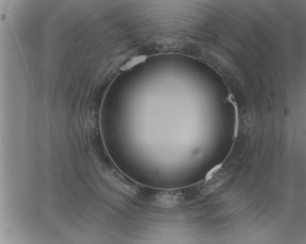 X0000062890756200601201845