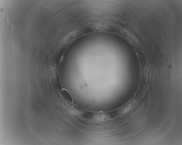 X0000062890757200601201845